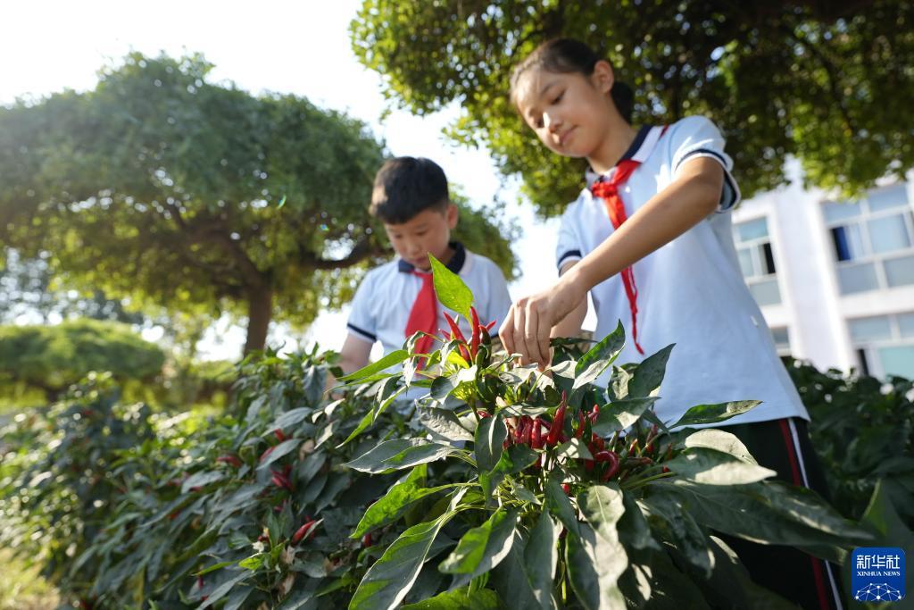 ea大师下载